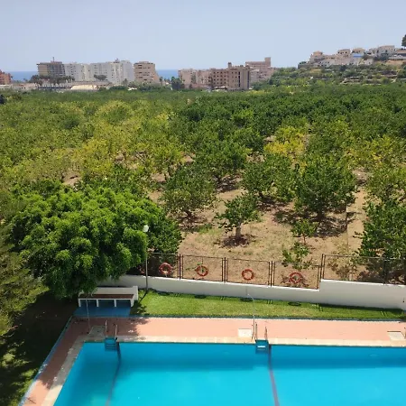 Palmeras Apartamento *
