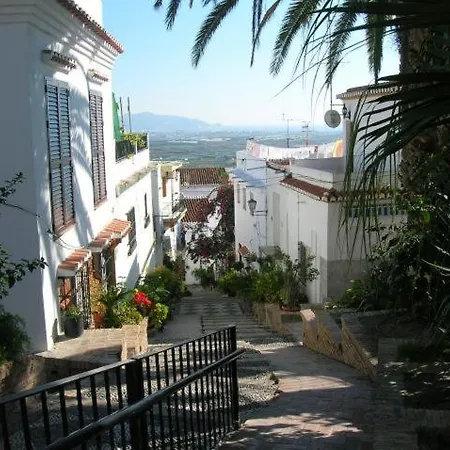 Palmeras