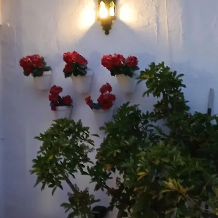 Casa Trinidad
