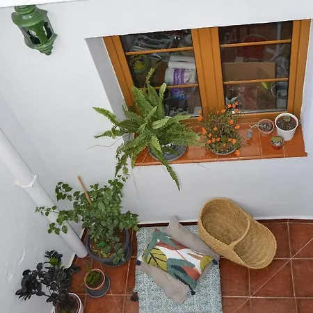 Casa Tipica Y Terraza, Maison Andalouse, Typical House With Rooftop Holiday home