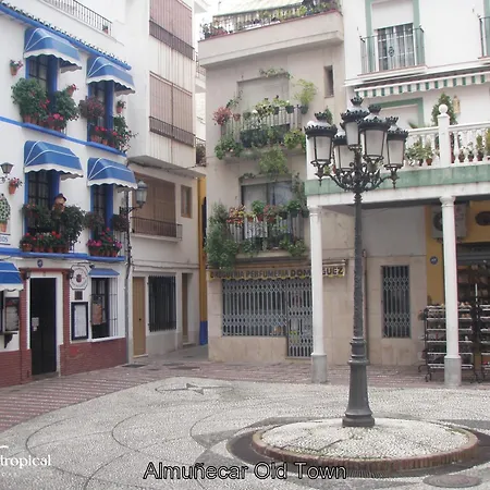 Cipreses - Casa Ola Almunecar