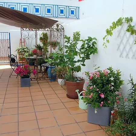 Espectacular Estudio Loft Chill Out By The Sea Almuñécar