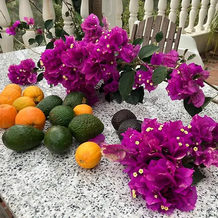 Golondrinas, Authentic Cortijo In The Hills Of Almuñécar