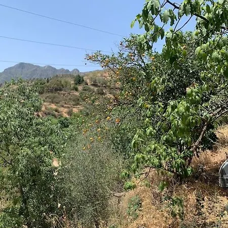 Golondrinas, Authentic Cortijo In The Hills Of * Almuñécar