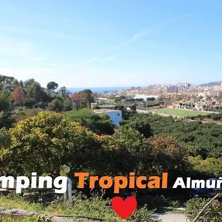 Tropical 2*