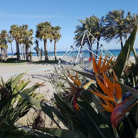 Tropical Andalusian Place *