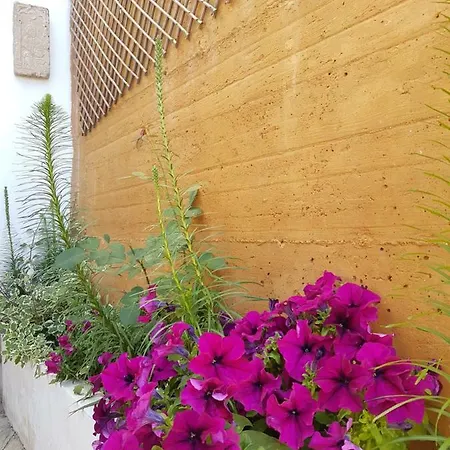 Tropical Andalusian Place * Almunecar