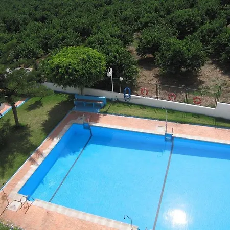 Palmeras