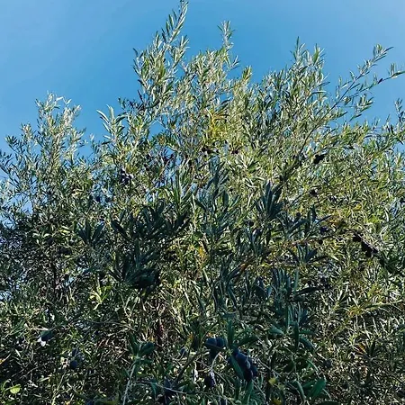 Cortijo Cantalobos Ferienhaus Almuñécar