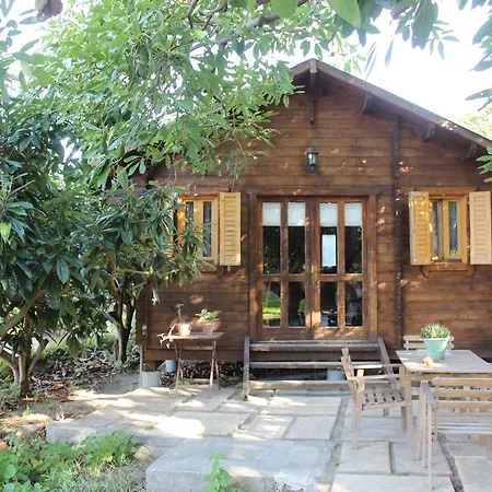Camping Tropical Almuñécar
